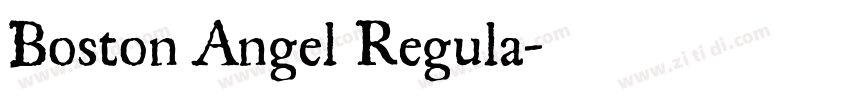 Boston Angel Regula字体转换